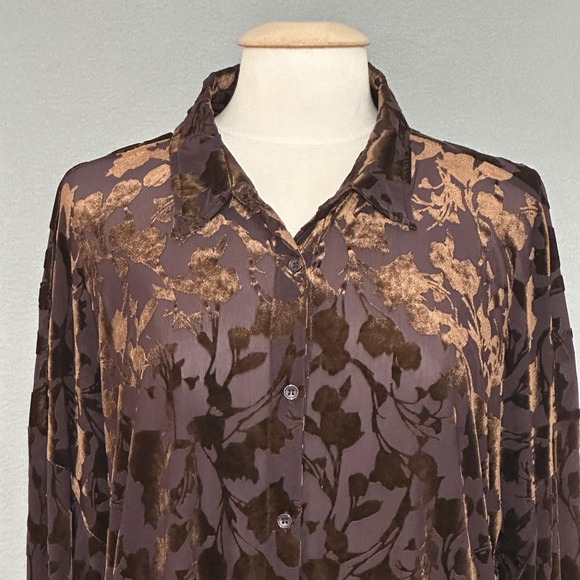 ACOA Y2K Velvet Burnout Blouse Brown Floral Button Front Long Sleeve L - Picture 3 of 11